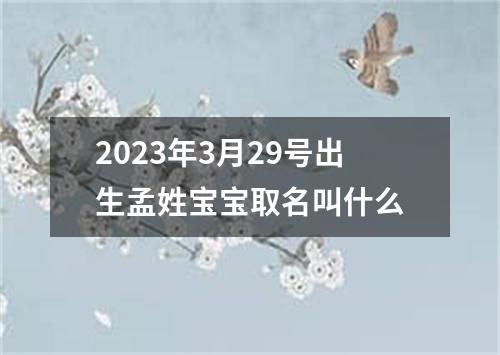 2023年3月29號出生孟姓寶寶取名叫什么